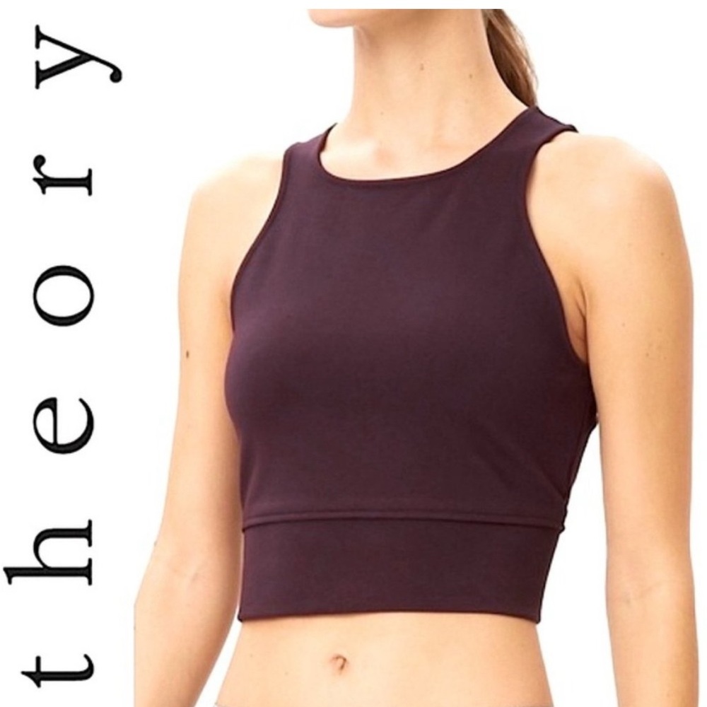 Theory Tenteg Plum Crop Top, S